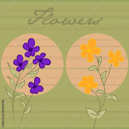 Flower Illustration