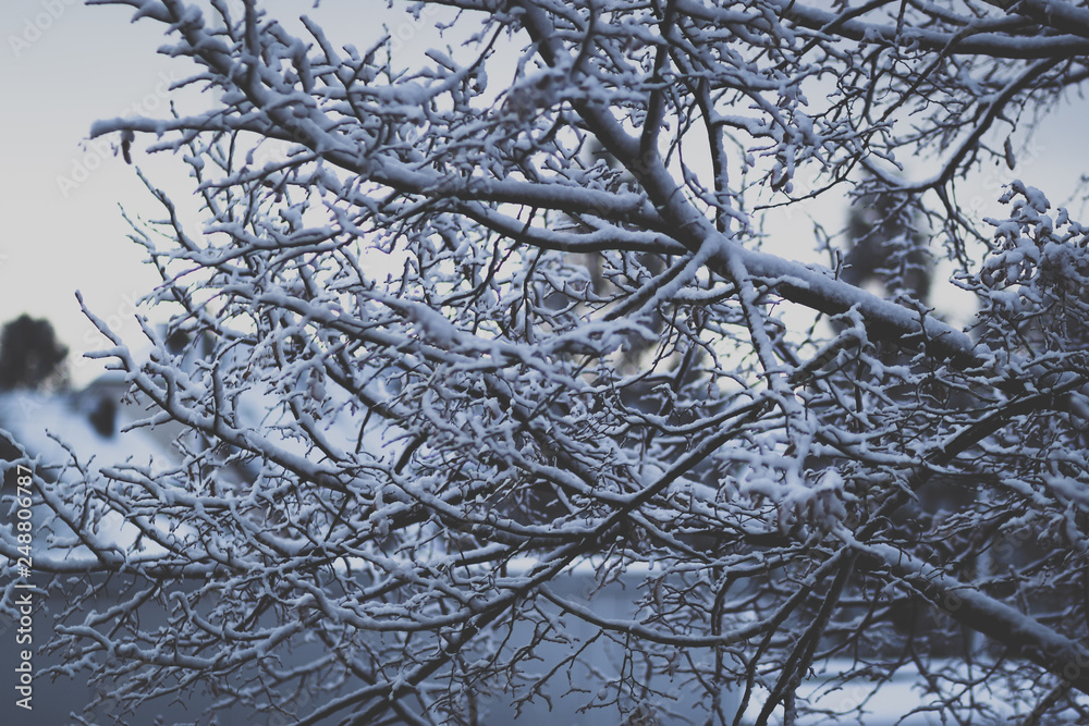 Obraz premium Schneelandschaft