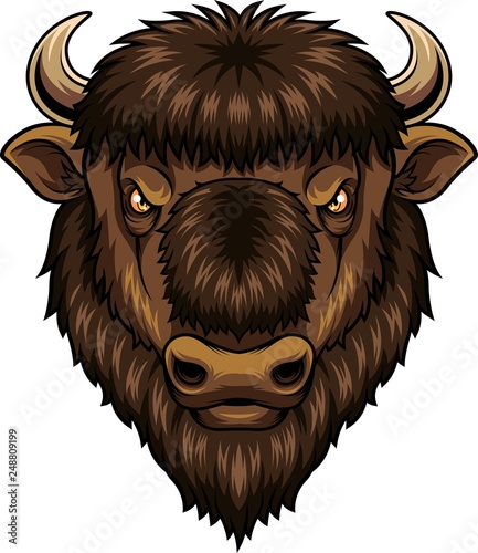 Bison Head Mascot