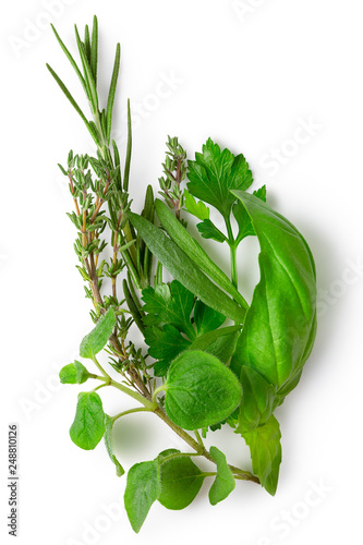 Bundle of freshly picked provence herbs isolated on white from above.