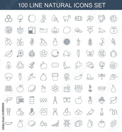 100 natural icons