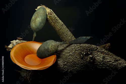 Spoon and dish on timber on black background for art decoration.