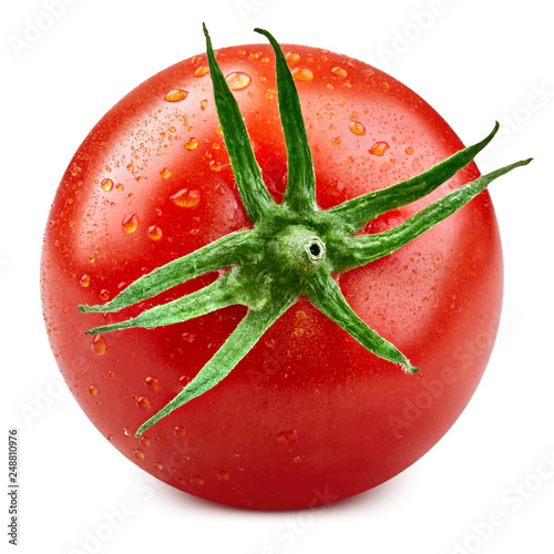 Tomato vector illustration
