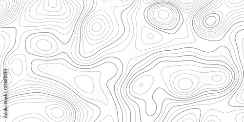 Topographic map and landscape terrain texture grid. Abstract white topography vector background photo