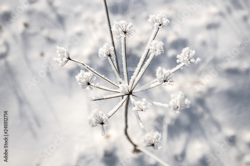 winter landscape © Ігор Струк