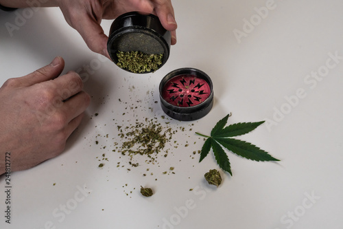 The man rolling medical marijuana joint. Marijuana buds, weed, leaf and gringer on white background. Cannabis photo