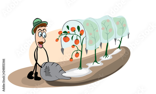 nitrogen fertilizers in agriculture. surprised gardener on the background of a bed with fast-growing tomatoes having risen up their greenhouse