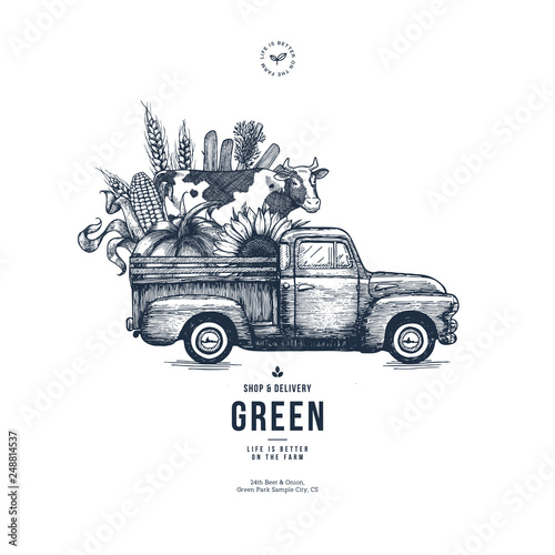 Farm fresh delivery design template. Classic vintage pickup truck with organic vegetables and a cow. Vector illustration
