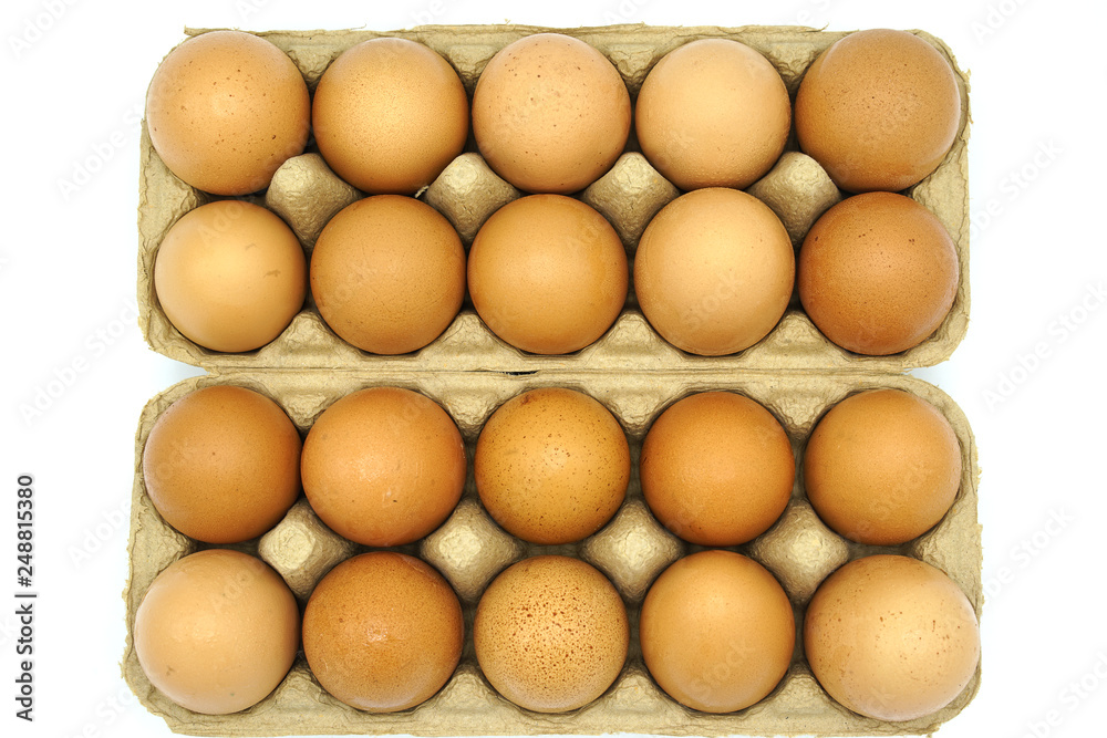 20 Chicken eggs in box 20 Chicken eggs in box