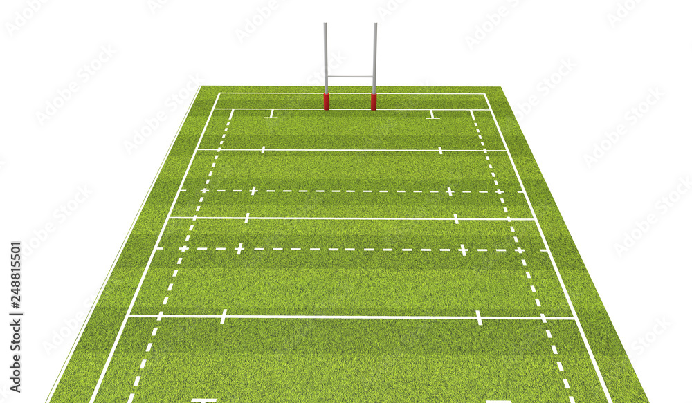 Fototapeta premium Rugby pitch with lines and goals. 3D Rendering