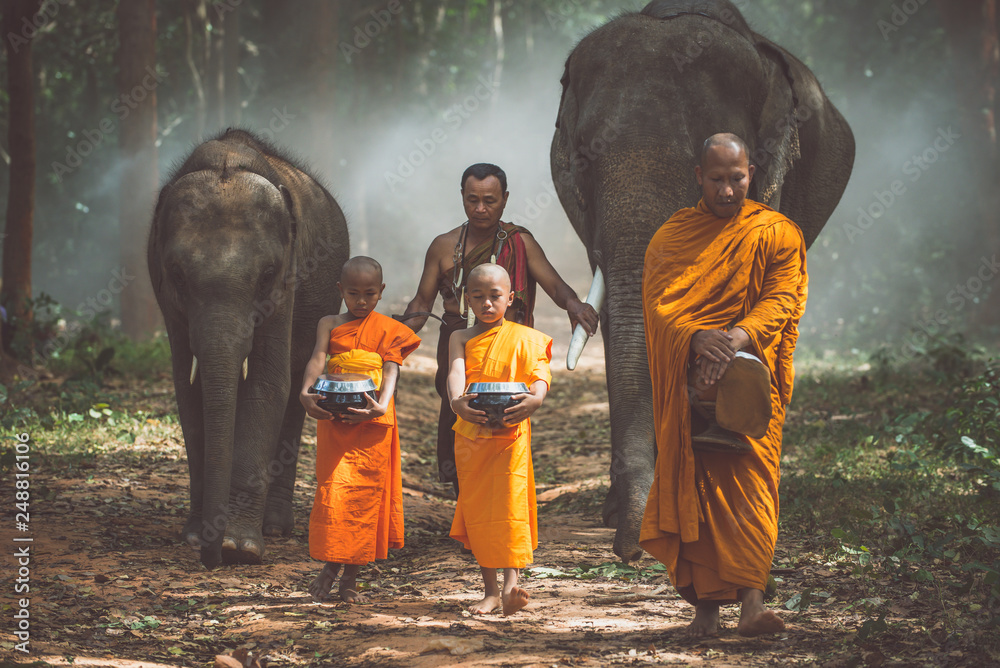 Thai monks walking in the jungle with elephants - obrazy, fototapety, plakaty 