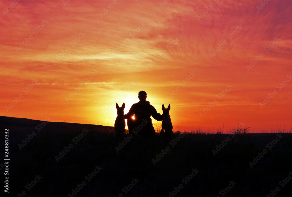 The man and the dog on the background of the unlikely sunset The man and the dog on the background of the unlikely sunset