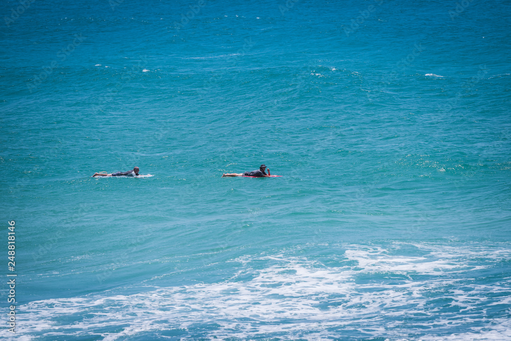 surfers in the sea