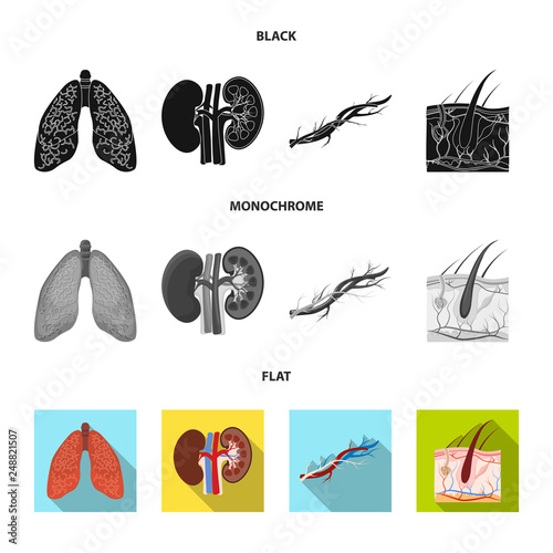 Isolated object of body and human icon. Collection of body and medical stock symbol for web.