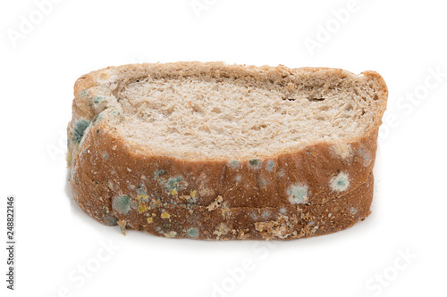 Blue mould covers slice of bread. 