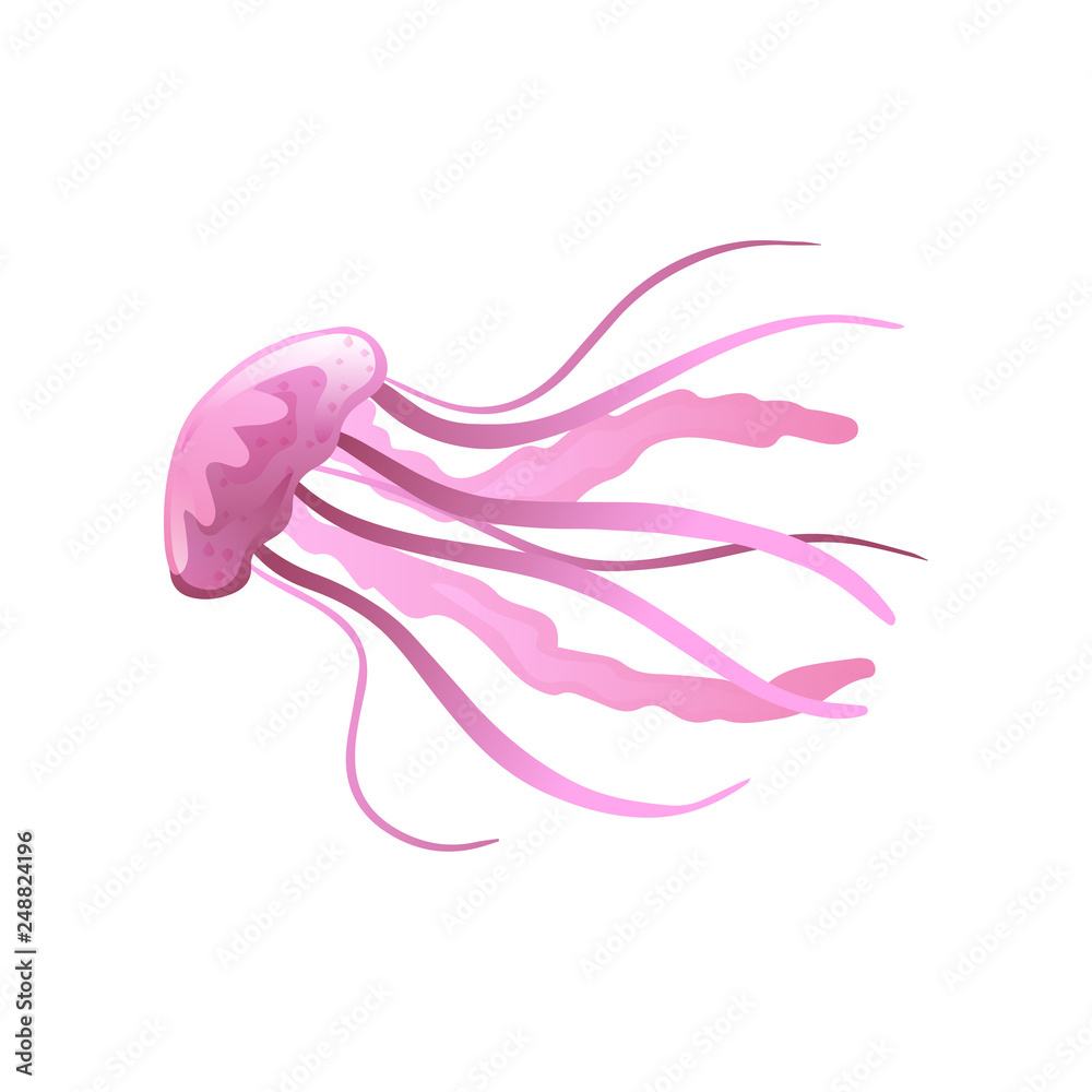 Jellyfish, Beautiful Pink Swimming Marine Underwater Creature Vector Illustration Jellyfish, Beautiful Pink Swimming Marine Underwater Creature Vector Illustration