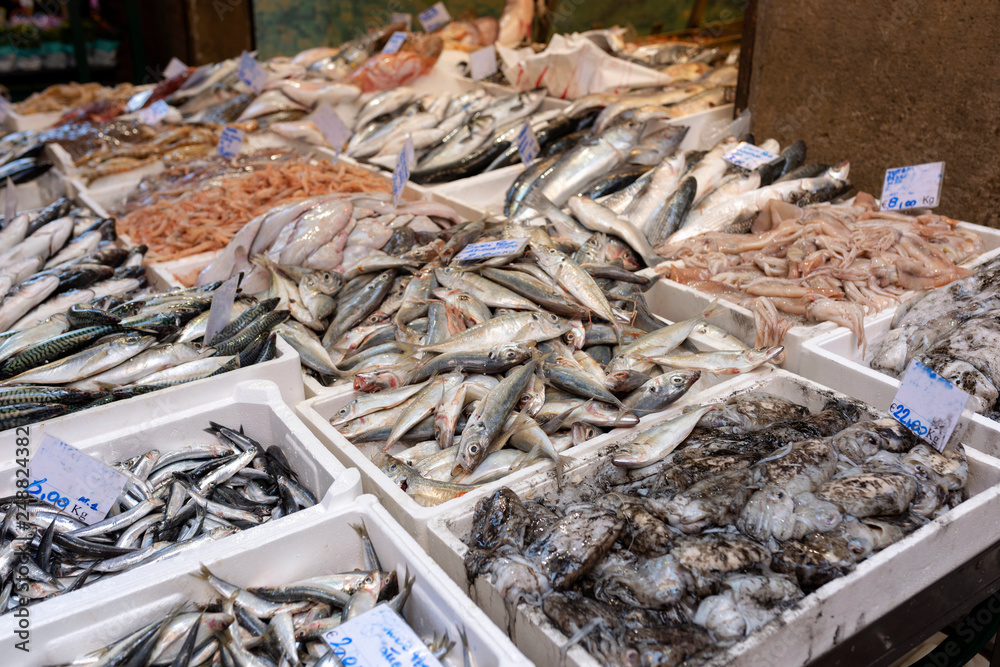 Fresh fish counter at the street market in the centre of Bologna.