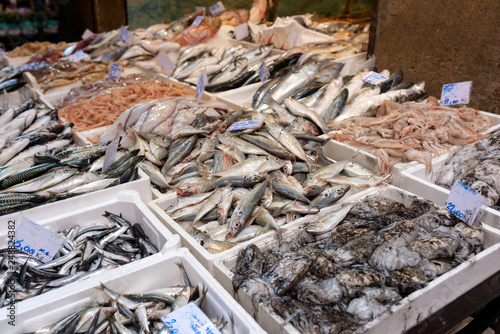 Fresh fish counter at the street market in the centre of Bologna.