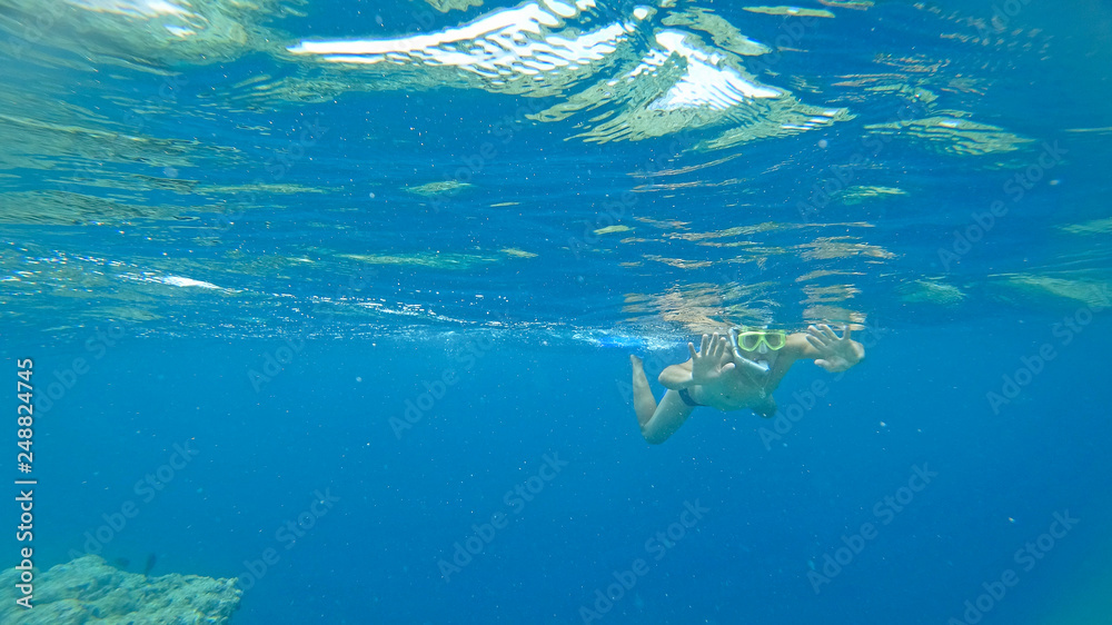 Naklejka premium The underwater world the Indian Ocean Maldives with corals and fish