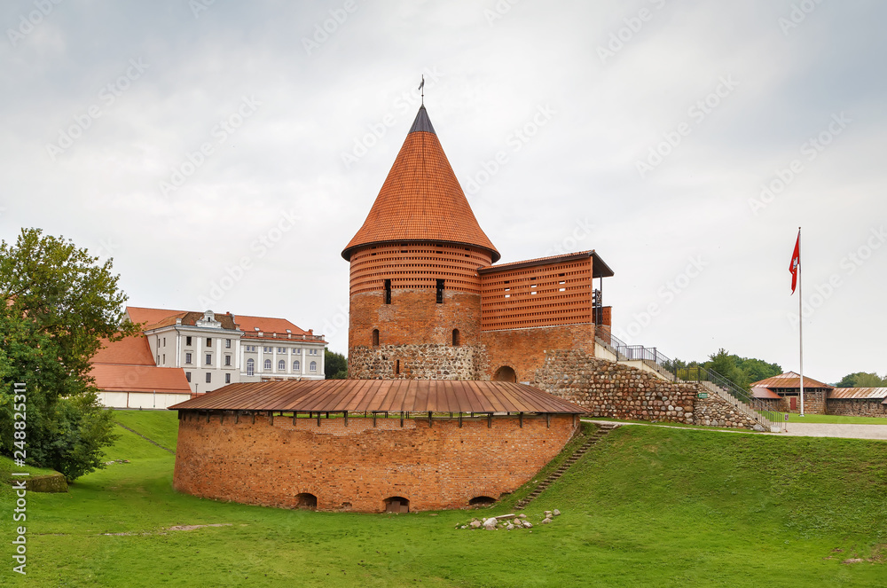 Kaunas Castle, Lithuania Kaunas Castle, Lithuania