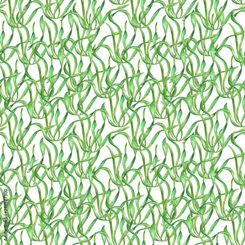 Fototapeta Naklejka Na Ścianę i Meble -  Watercolor seamless retro pattern with undersea plants and seaweed. Vintage underwater background in green colors