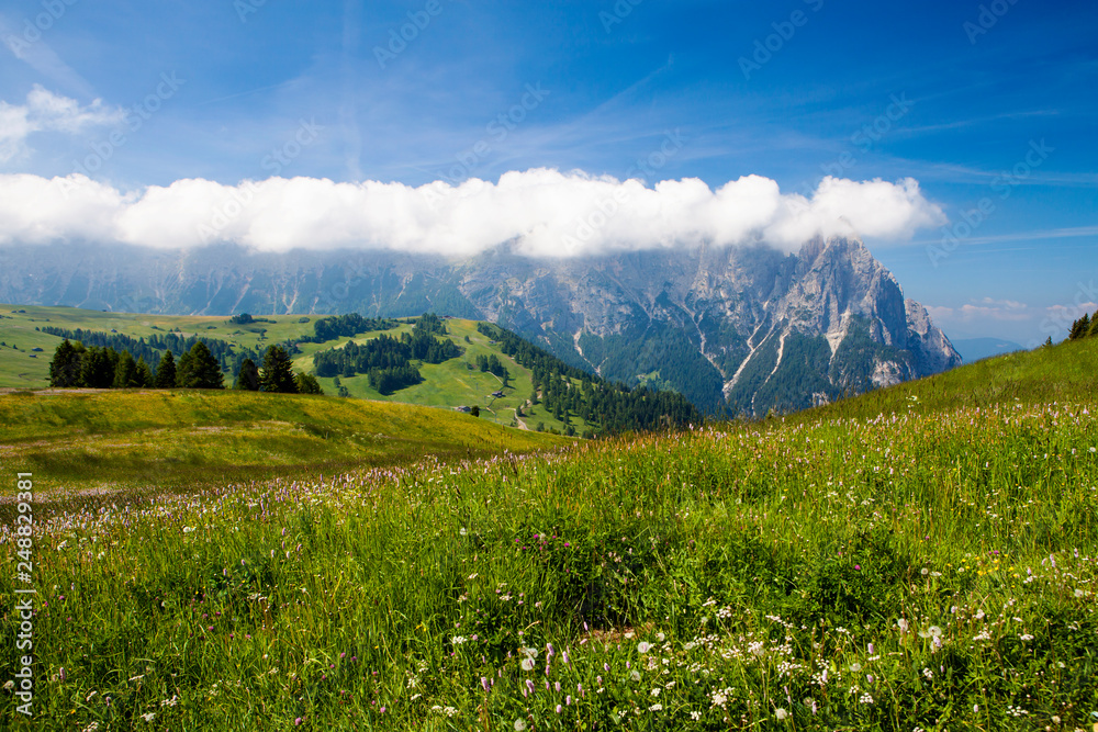 Fototapeta premium Dolomites, Alpe di siusi, South Tyrol
