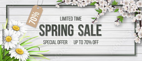 Spring sale frame chamomile wood blooming branch.