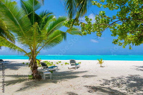 Palm tree on tropical paradise beach with turquoise blue water and blue sky