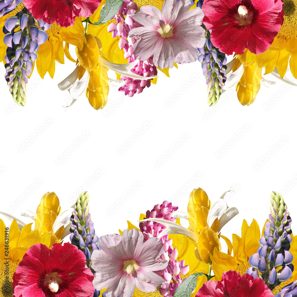 Beautiful floral background of lupine, mallow, sunflower and pahistahis