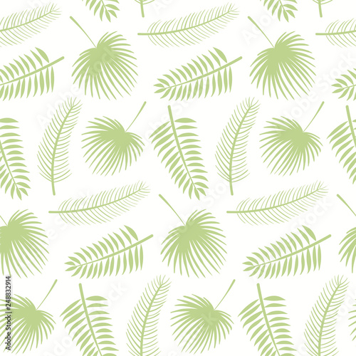 Hand drawn seamless botanical pattern with green palm leaves on white background. Vector illustration. Flat style design. Concept for kids textile print, wallpaper, wrapping paper © Maria Skrigan