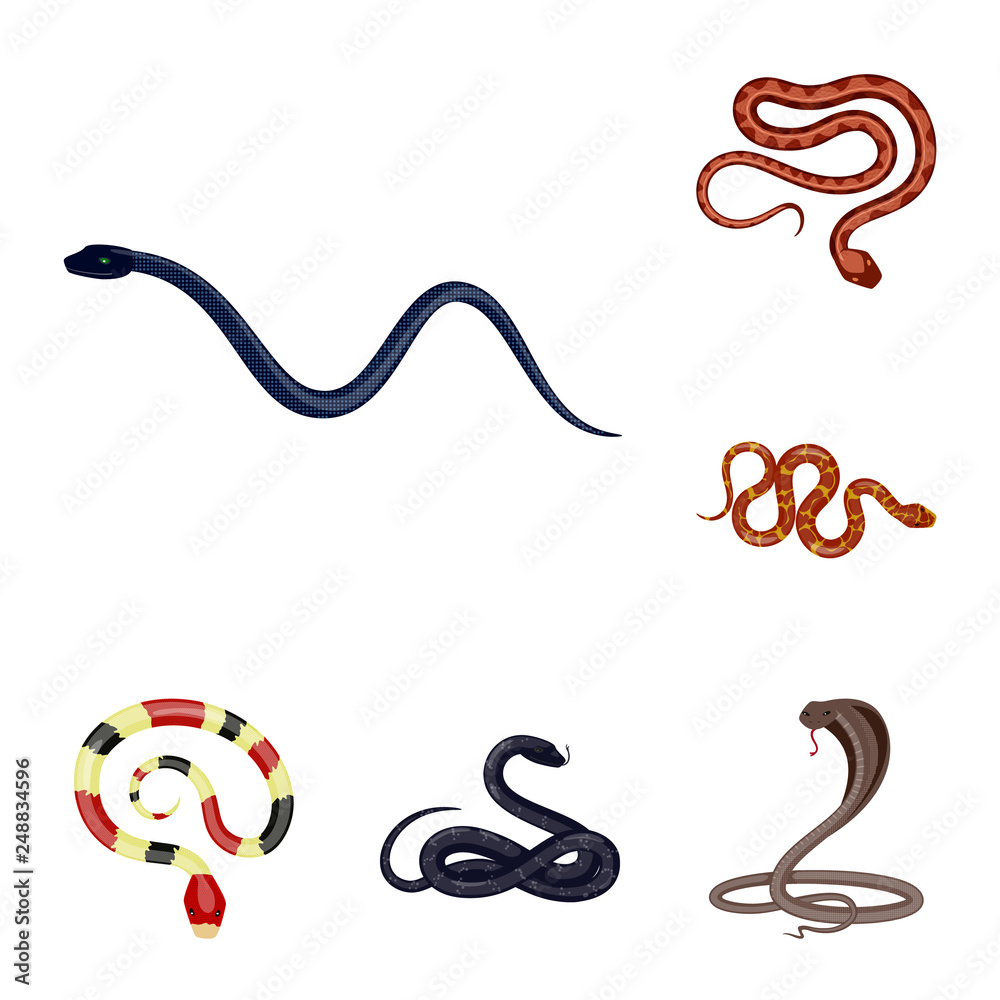 Vector design of poison and evil logo. Collection of poison and bite vector icon for stock. Vector design of poison and evil logo. Collection of poison and bite vector icon for stock.