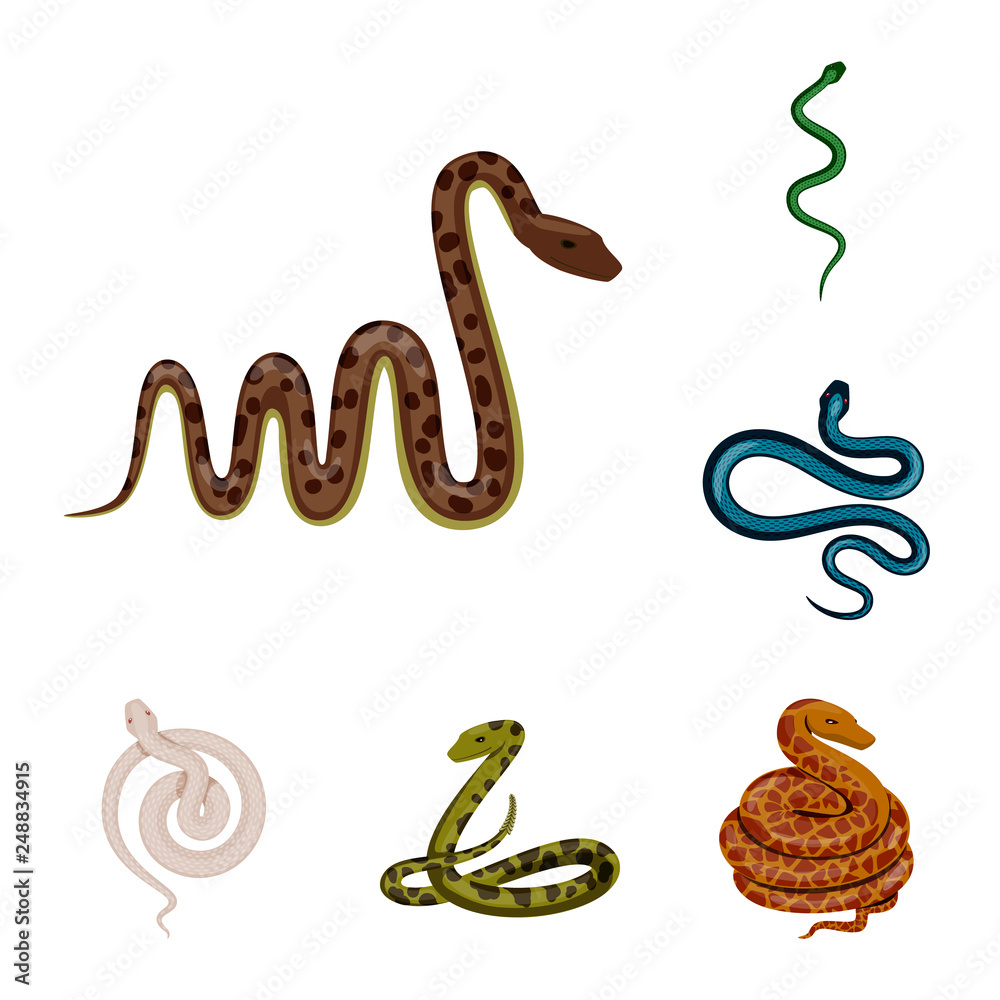 Isolated object of poison and evil symbol. Collection of poison and bite stock symbol for web.