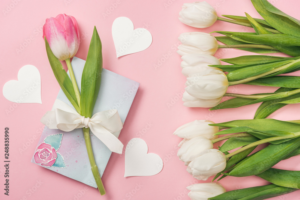 pink tulip with white bow on greeting card, paper hearts and white tulips on pink background pink tulip with white bow on greeting card, paper hearts and white tulips on pink background