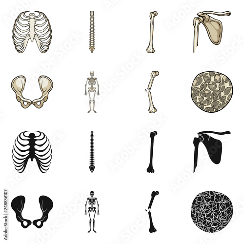 Vector design of medicine and clinic icon. Collection of medicine and medical vector icon for stock.