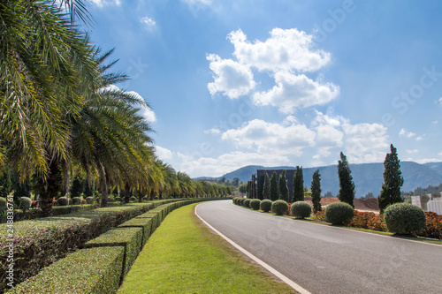 Green tree fence,green field in the garden with blue sky and cloud background photo