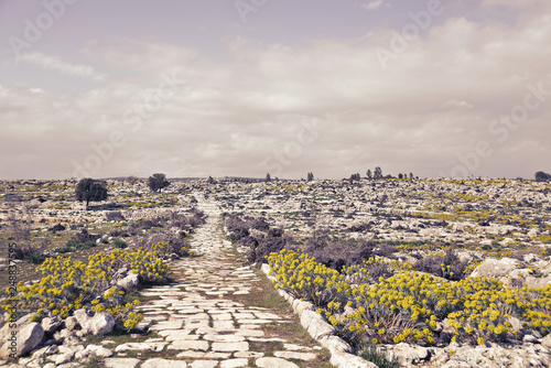 Tableau sur toile Ruins of ancient Roman Road in Tarsus, Turkey