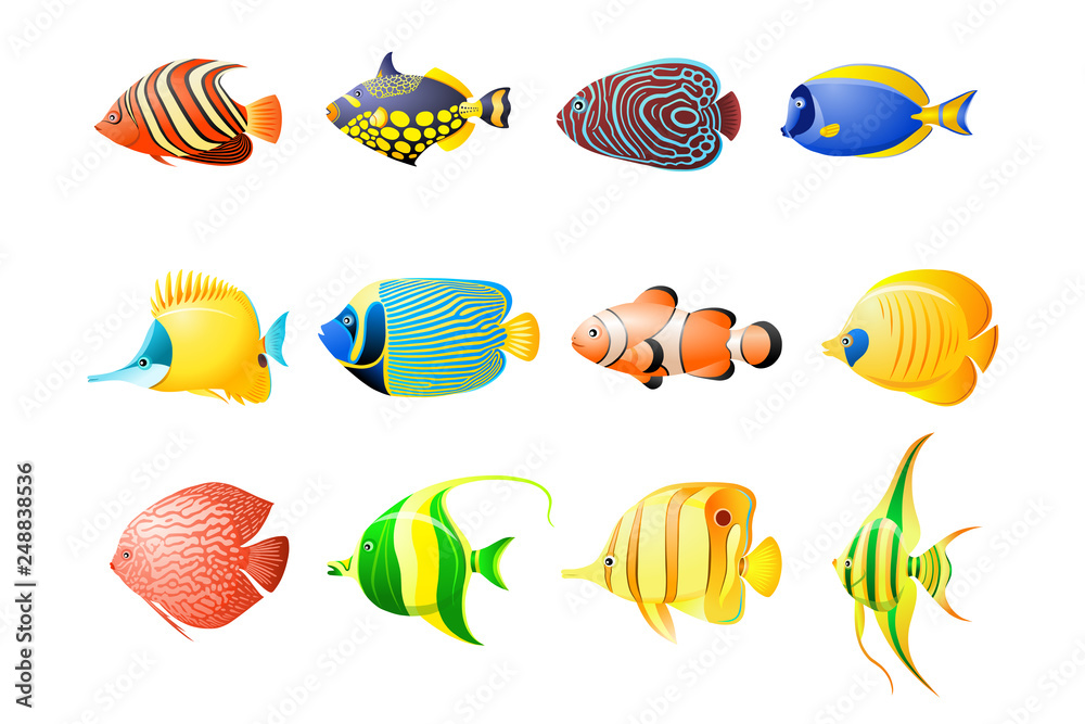 Naklejka premium discus