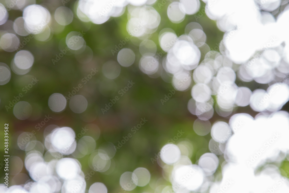 Obraz premium Background image blur Beautiful bokeh.