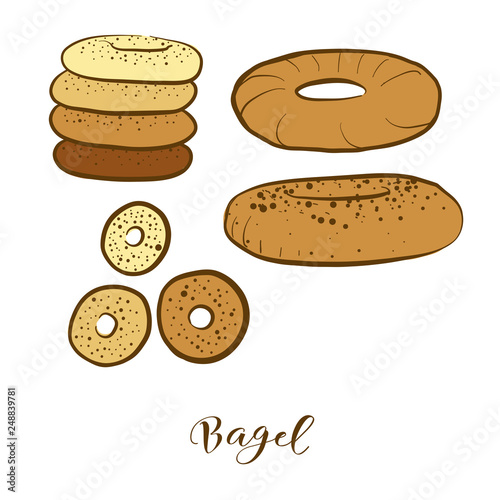 Colored sketches of Bagel bread