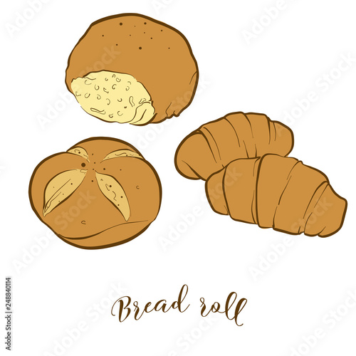 Colored sketches of Bread roll bread