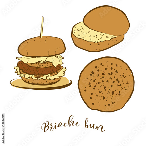Colored sketches of Brioche bun bread