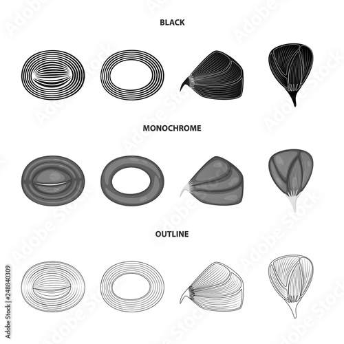 Vector design of fiber and muscular symbol. Set of fiber and body  vector icon for stock.