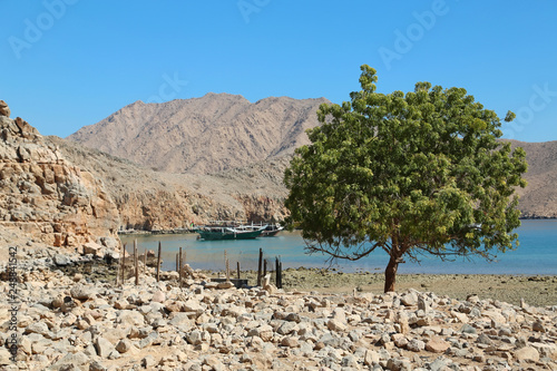 Fototapeta Naklejka Na Ścianę i Meble -  Ancient Village of Haffa, Sultanate of Oman, Musandam peninsula, Gulf of Oman