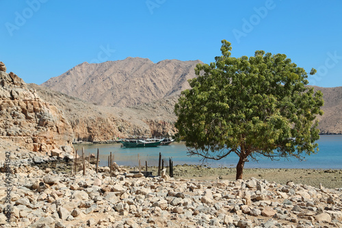 Ancient Village of Haffa, Sultanate of Oman, Musandam peninsula, Gulf of Oman