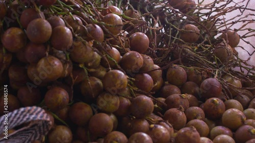 Pull in shot over coyol palm tree fruits, stocked, piled up in white nylon bags photo