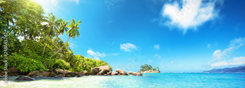  Seychelles Islands. Palm Beach In Tropical Paradise