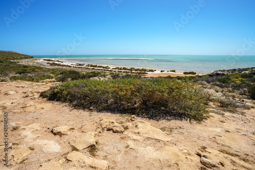 looking at the ocean from eagle bluff at coral coast, western australia 3