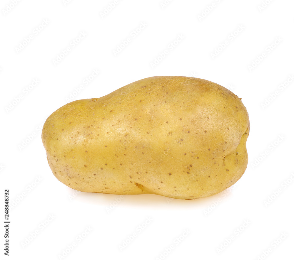 potato isolate on white background potato isolate on white background