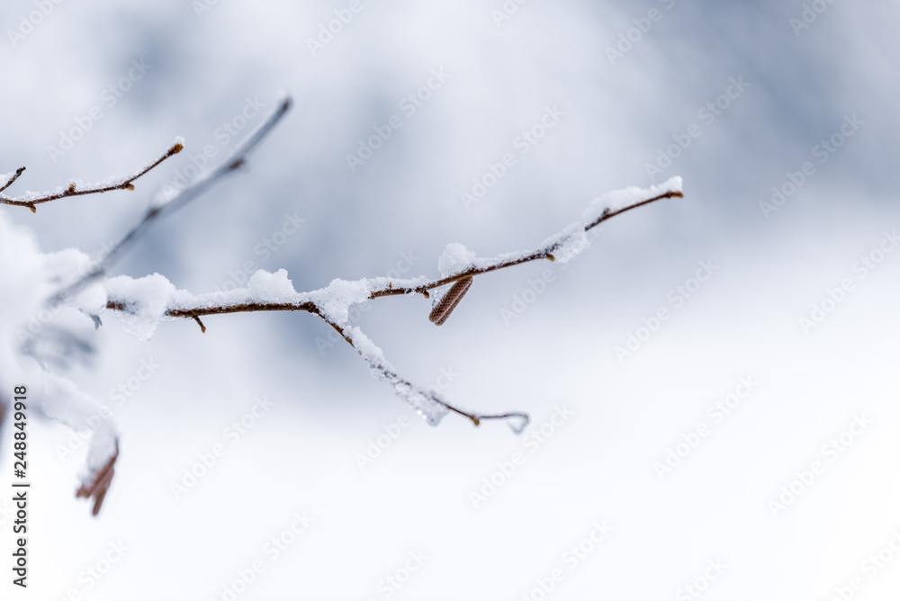 Obraz premium Verschneit