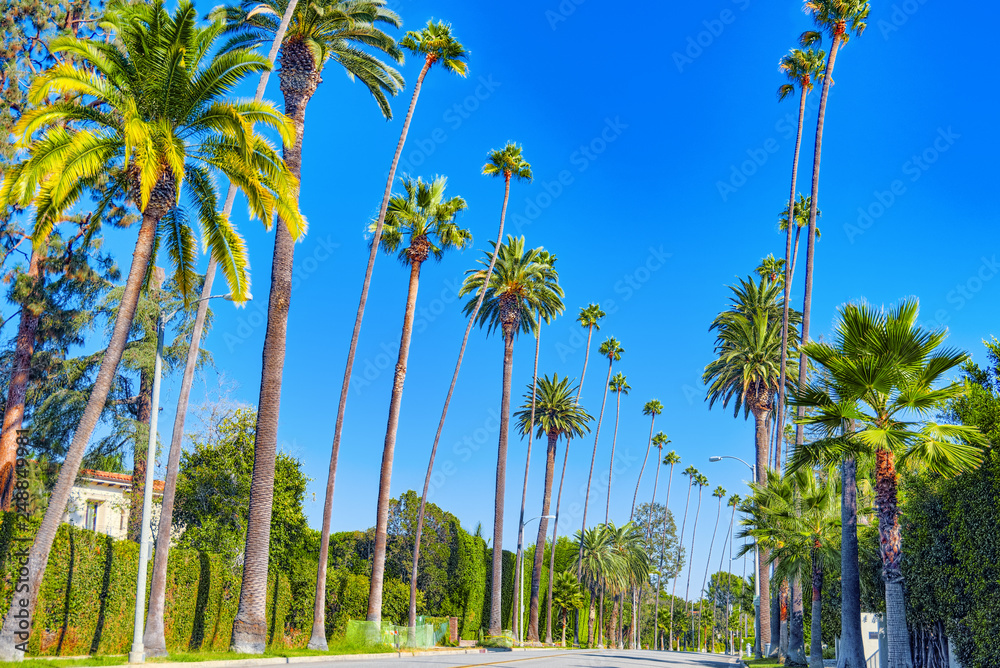 Fototapeta premium Urban views of the Beverly Hills area and residential buildings on the Hollywood hills.